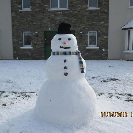 Pk Lodge Bed And Breakfast Skibbereen Exterior photo
