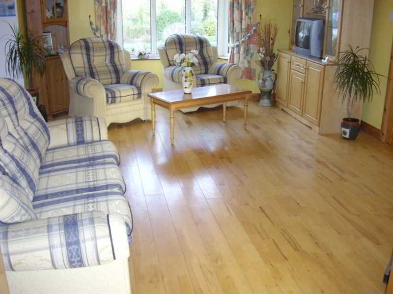 Pk Lodge Bed And Breakfast Skibbereen Exterior photo